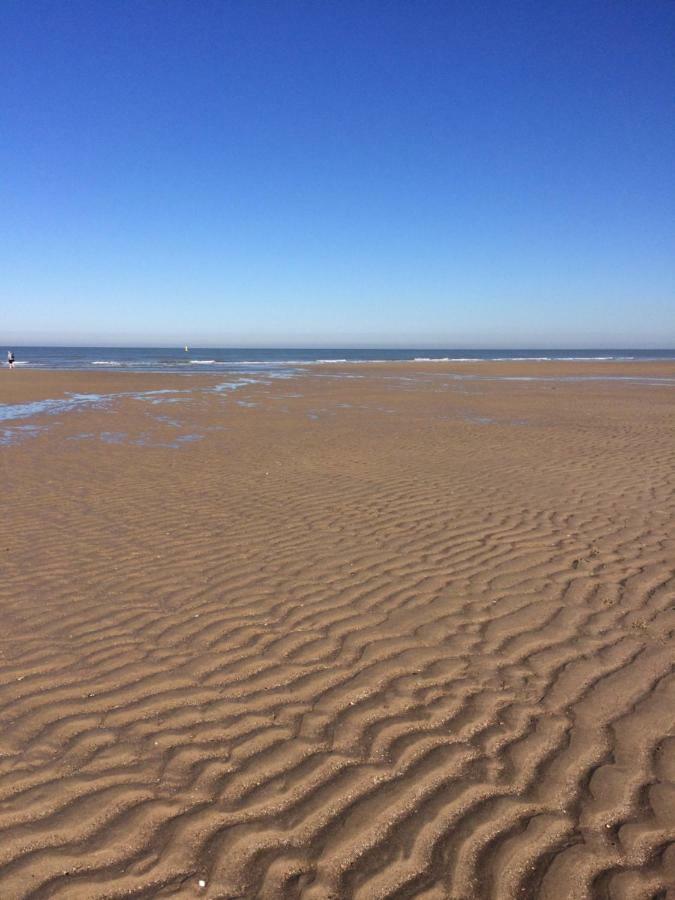 Zee Vakantievilla Begijnhof 5 De Haan Nieuwmunster 外观 照片